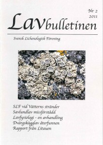 Lavbulletinen 2011-2